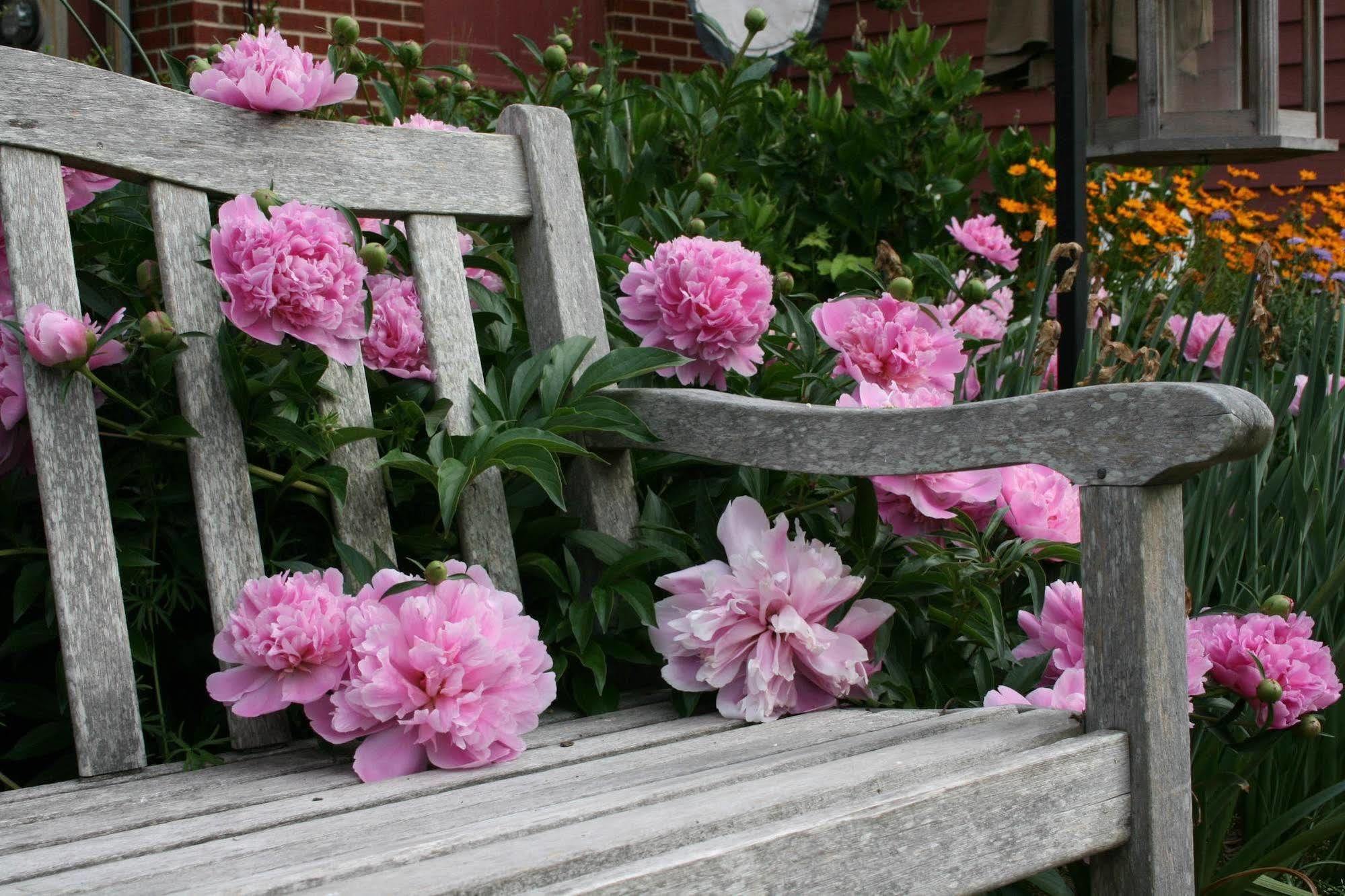 Williamsburg Manor B&B Екстериор снимка